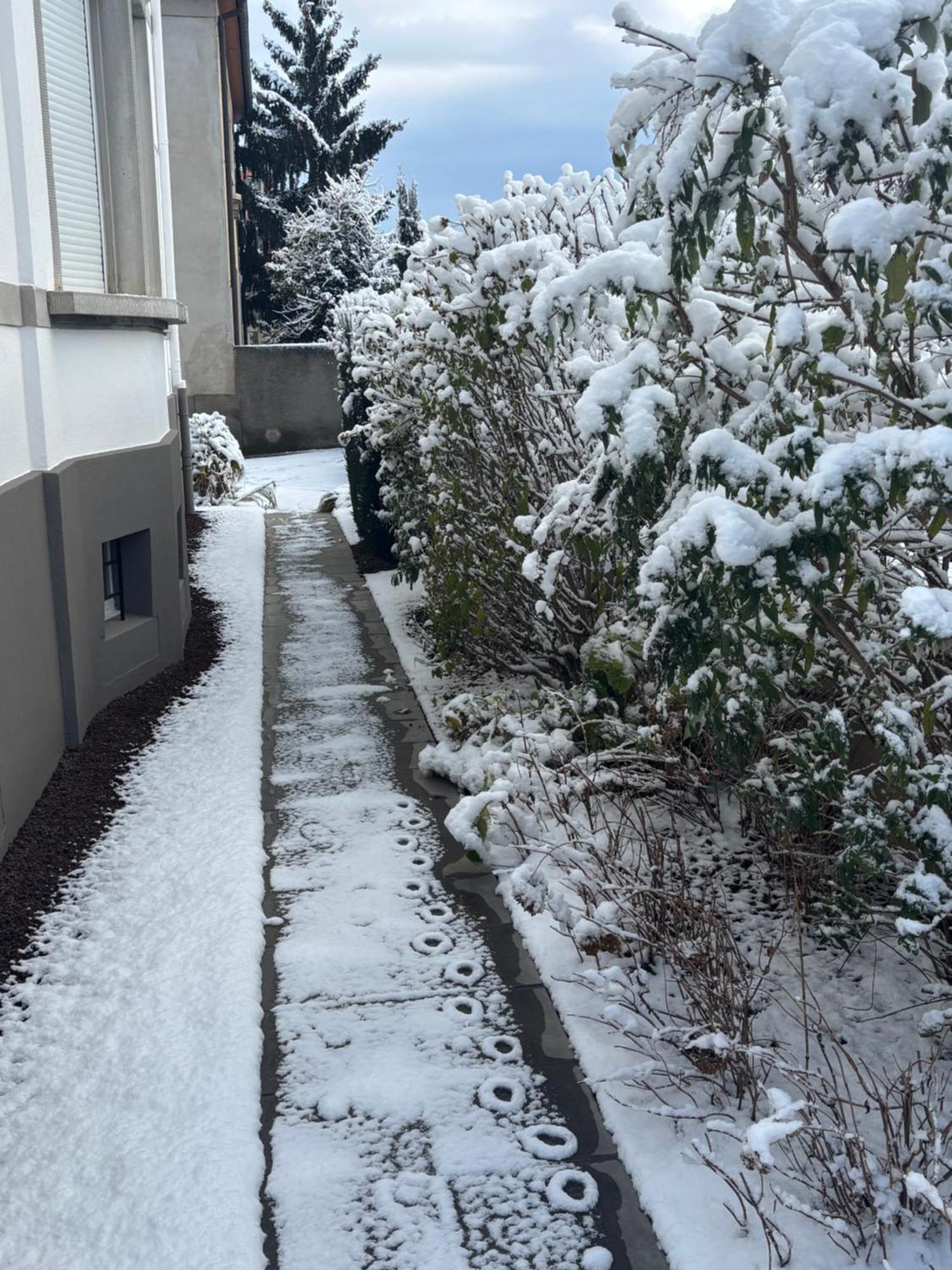 Bel Appartement Centre Climatise Parking Prive 콜마 외부 사진